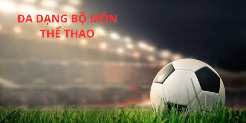 Các cái tên hấp dẫn trong không gian thể thao của nhà cái